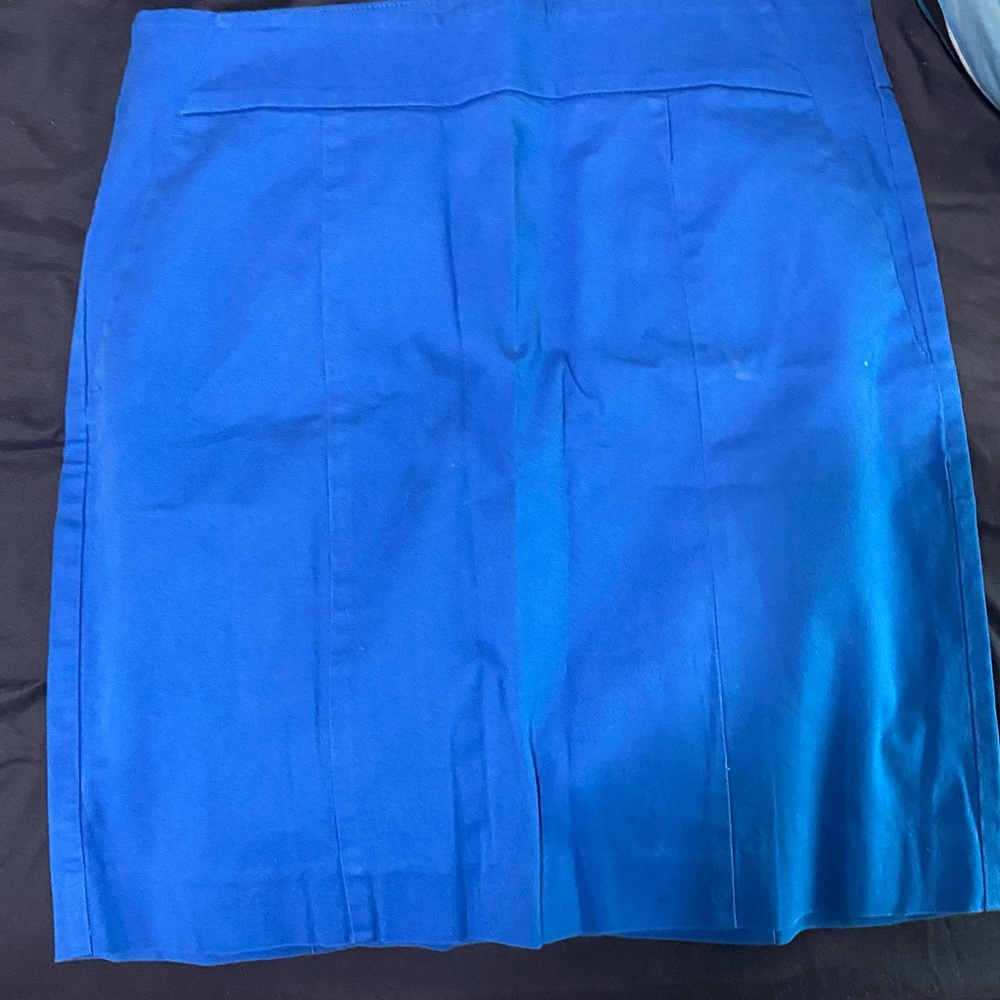 Ann Taylor Madison skirt -size 4